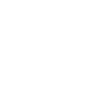 INTERFONCAL-ICOS_0000s_0000_plumber_1989679-300x300