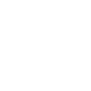 INTERFONCAL-ICOS_0000s_0002_pipe_9409834-300x300